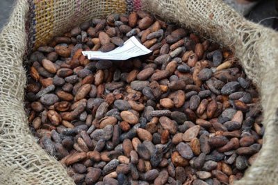 可可行业潮损预防方案