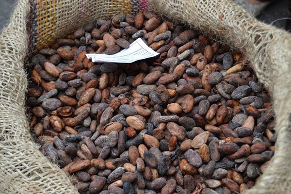 可可行业潮损预防方案